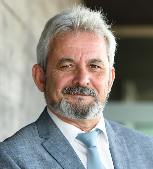 Valentin Comanescu